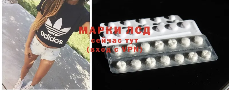 LSD-25 экстази кислота  магазин  наркотиков  Зима 